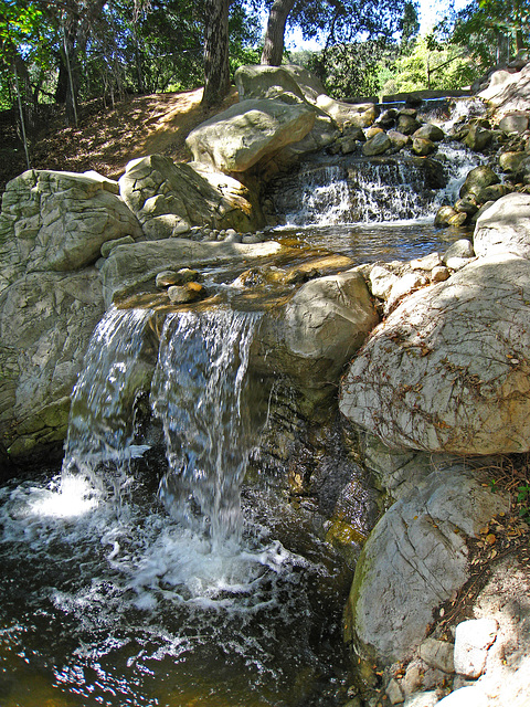 Descanso Gardens Waterfall (2269)