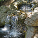 Descanso Gardens Waterfall (2269)