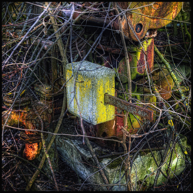 ancient ancient