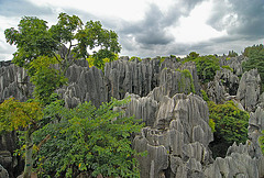 Stone Forest (Shilin)
