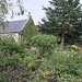 Courtyard garden colours in June