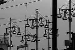 Lampenjungel / jungle of lamps