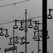 Lampenjungel / jungle of lamps