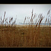 Laboe...take a look over "my" baltic sea.
