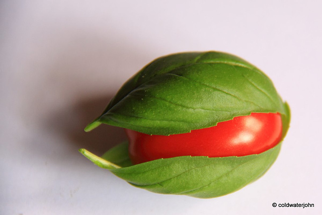 Cherry Tomato and Basil leaves