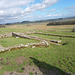 Housesteads : vicus