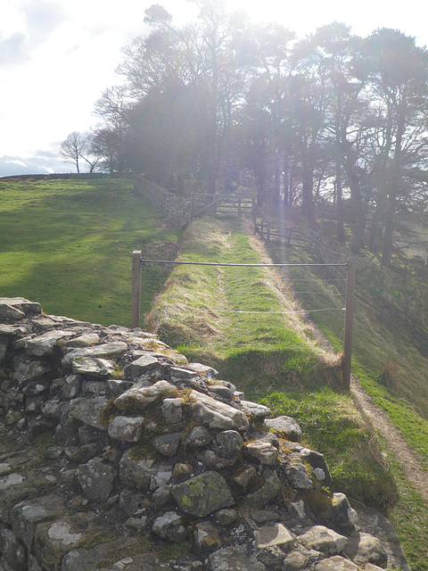 Housesteads : angle nord-ouest et continuation du mur.
