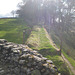 Housesteads : angle nord-ouest et continuation du mur.