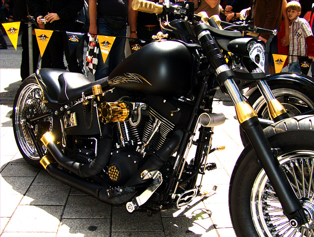 Harley Days 2008