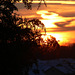 Sunset 2009-02-19 (1)