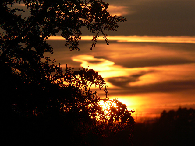 sunset 2009-02-19 (2)