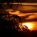 sunset 2009-02-19 (3)