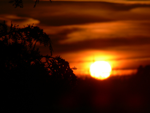 sunset 2009-02-19 (5)