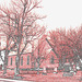 Cimetière et église  / Church and cemetery  -  Ormstown.  Québec, CANADA.  29 mars 2009 - Contours de couleurs / Colourful outlines
