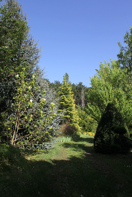 , avec un Magnolia grandiflora à gauche