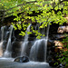 Tibbetts Brook Park Waterfalls