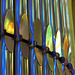 Sagrada Família... Jeux d'orgues et de couleurs