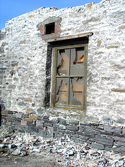 Vestiges de la Canbro - Old factory sad ruins - Région du Suroît - Quebec, Canada / 12 octobre 2008