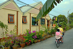 Terrace houses in Nonthaburi