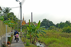 Along a path in Nonthaburi