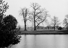 Wintry Lakeside at Croome Park