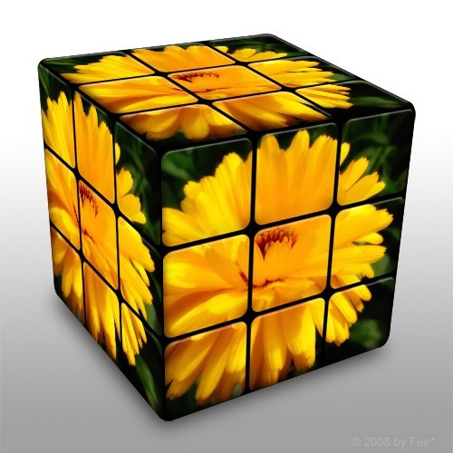 Flower Cube*