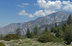 Mt San Jacinto (0392)