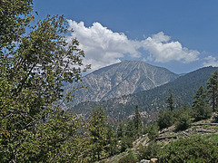 Mt San Jacinto (0394)
