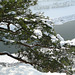 Bastei im Winter - minus 4°C