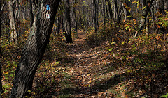 High Point State Park