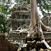 Ta Prohm- Reclaimed by the Jungle #2