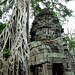 Ta Prohm- Reclaimed by the Jungle #4