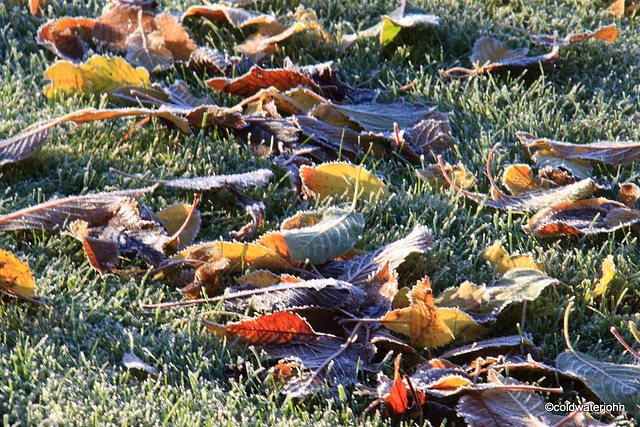 Autumn Frost and sunshine