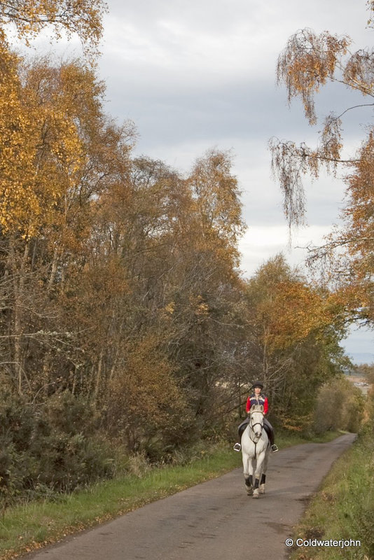 Autumn Journey down country lanes...