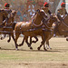 Musical Drive Kings Troop Royal Horse Artillery 22