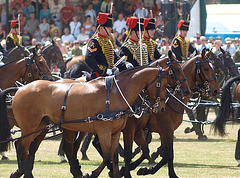 Musical Drive Kings Troop Royal Horse Artillery 14