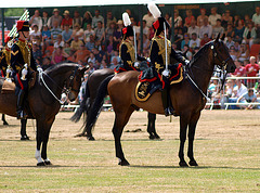 Musical Drive Kings Troop Royal Horse Artillery 10