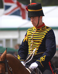 Musical Drive Kings Troop Royal Horse Artillery 8