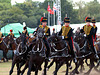 Musical Drive Kings Troop Royal Horse Artillery 6