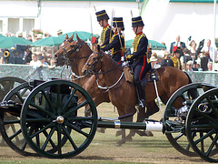 Musical Drive Kings Troop Royal Horse Artillery 1