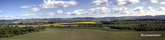 Forth Valley pan