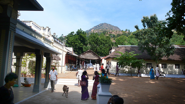 Arunachala depuis l'ashram de Ramana