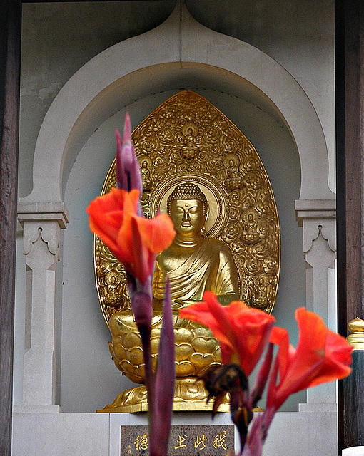 Buddha at Battersea