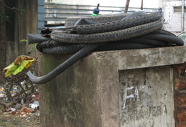 Rubber snake
