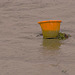 Hilsea Creek - Orange Bucket