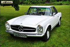 1969 Mercedes 280 SL - WVO 533G
