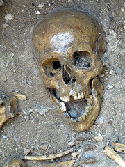 Bronze Age Skeleton