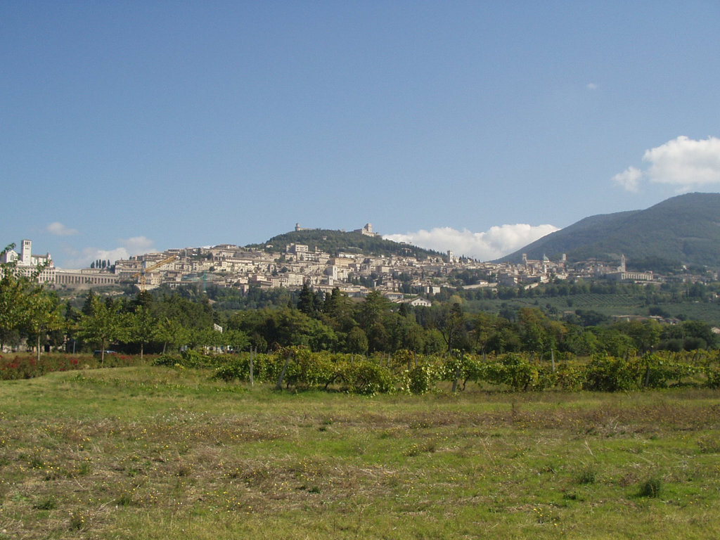Assisi, 30.9.08, 1/22