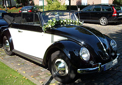 VW Käfer Cabro