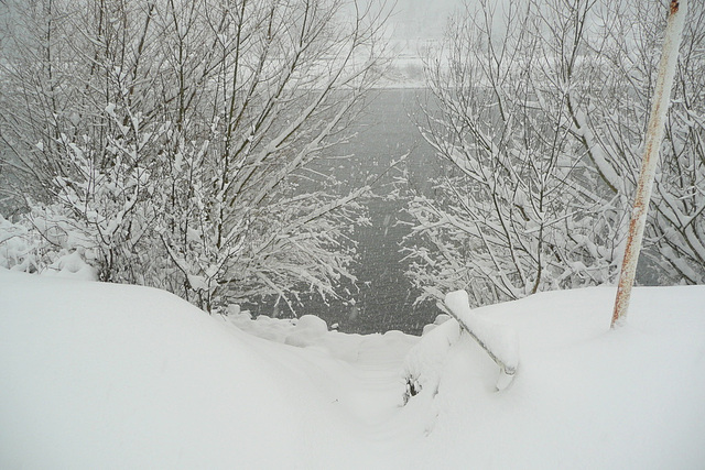 5.1.2009 - es schneit